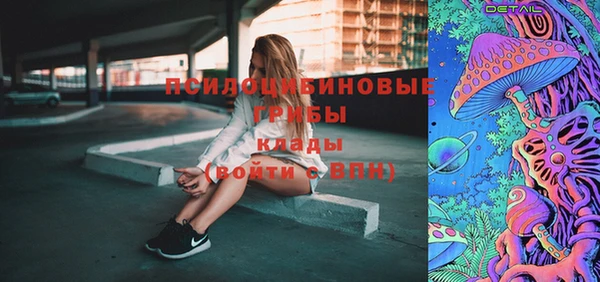 дмт Россошь