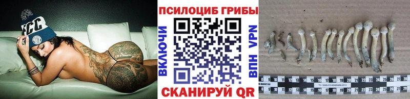 Галлюциногенные грибы Cubensis  KRAKEN   Кинешма  как найти наркотики 