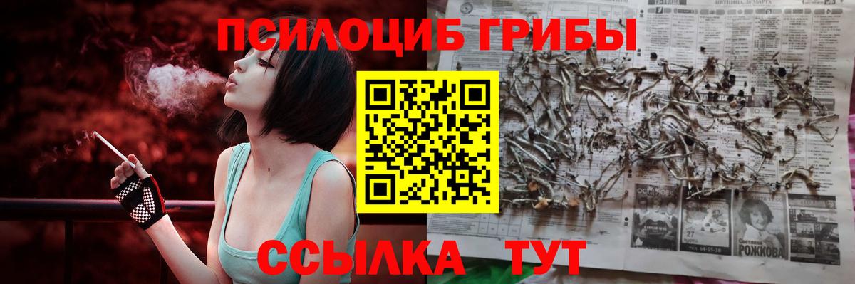 Кинешма  Псилоцибиновые грибы GOLDEN TEACHER  Вход с VPN 