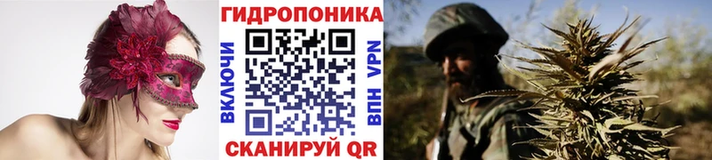 omg ССЫЛКА Кинешма Марихуана марихуана