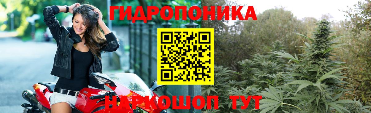 Конопля семена  Вход с VPN  Кинешма  Марихуана Amnesia 